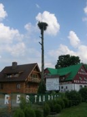 17. Bocianie gniazdo w Podgórzynie.