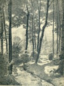 R. Hacke, W Mysłowie nad Kaczawą, rys. ołówkiem