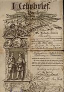 Dyplom ukończenia nauki na zawód fryzjerski.