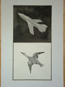 'Dwie barwy czasu'', 1975, linoryt, 24,5x47,5.