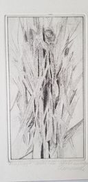 ''Kompozycja'', 1978, sucha igła, 12x21,5.