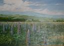''Łubiny Karkonoskie'', 1997, olej 120x80.