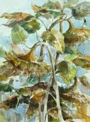 ''Słoneczniki I'', 1999, akwarela, 29x39.