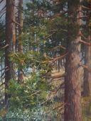 ''Sosny'', 2000, olej, 64x85.