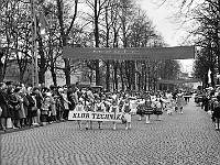 1979-19  1 maja 1979  Jawor, ul. Wrocławska  Obchody 1 maja - Święta Pracy     Uczestnicy pochodu pierwszomajowego prezentujący się przed trybuną honorową.  Uczestnicy kół zainteresowań Klubu Technika działającego przy Zakładach Kuzienniczych i Maszyn Rolniczych (ZKiMR).