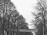 1980-17  1 maja, (prawdopodobnie rok 1980)  Jawor, ul. Wrocławska  Obchody 1 maja - Święta Pracy    Uczestnicy pochodu pierwszomajowego prezentujący się przed trybuną honorową.  Uczniowie Szkoły Podstawowej nr 4.