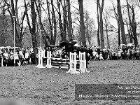 1983-39  1 maja (prawdopodobnie rok 1983)  Jawor, Park Pokoju  Obchody 1 maja - Święto Pracy     Okolicznościowe pokazy hippiczne.
