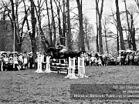 1983-40  1 maja (prawdopodobnie rok 1983)  Jawor, Park Pokoju  Obchody 1 maja - Święto Pracy     Okolicznościowe pokazy hippiczne.