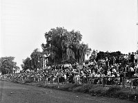 1977-17  28 sierpnia 1977  Jawor, ul. Parkowa 8, stadion miejski  Mecz ligowy Kuźnia Jawor, Górnik Złotoryja      Kibice.