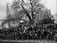 1979-35  1979/1980  Jawor, ul. Parkowa 8, stadion miejski  Mecz ligowy Kuźni Jawor      Kibice