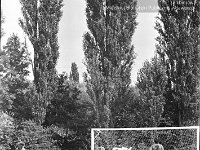 1980-05  1980  Jawor, ul. Parkowa 8, stadion miejski boczny  Juniorzy Kuźni Jawor