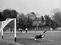 1980-03  1980/1981  Jawor, ul. Parkowa 8, stadion miejski  Mecz ligowy Kuźni Jawor      Zawodnicy Kuźni Jawor w jasnych kszulkach.  Waldemar Ościak bramkarz Kuźni Jawor.