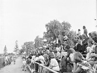 1980 -  sezon 1980 1981