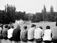 1981 - Halemba