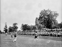 1981-14  05 lipca 1981  Jawor, ul.Parkowa 8, stadion miejski  Mecz Kużnia Jawor z Grunwaldem Halemba (Ruda Śląska)      Kużnia Jawor 5-go lipca 1981 roku, po barażach z Grunwaldem Halemba (Ruda Śląska), wywalczyła drugi w historii awans do III ligi