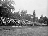 1981-15  05 lipca 1981  Jawor, ul.Parkowa 8, stadion miejski  Mecz Kużnia Jawor z Grunwaldem Halemba (Ruda Śląska)      Kużnia Jawor 5-go lipca 1981 roku, po barażach z Grunwaldem Halemba (Ruda Śląska), wywalczyła drugi w historii awans do III ligi  Kibice.