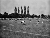 1981-26  05 lipca 1981  Jawor, ul.Parkowa 8, stadion miejski  Mecz Kużnia Jawor z Grunwaldem Halemba (Ruda Śląska)      Kużnia Jawor 5-go lipca 1981 roku, po barażach z Grunwaldem Halemba (Ruda Śląska), wywalczyła drugi w historii awans do III ligi