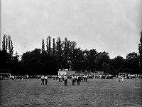1981-28  05 lipca 1981  Jawor, ul.Parkowa 8, stadion miejski  Mecz Kużnia Jawor z Grunwaldem Halemba (Ruda Śląska)      Kużnia Jawor 5-go lipca 1981 roku, po barażach z Grunwaldem Halemba (Ruda Śląska), wywalczyła drugi w historii awans do III ligi
