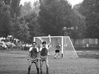 1981 - Miedź Legnica