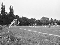 1981-06  2 sierpnia 1981  Jawor, ul Parkowa 8, stadion miejski.  Mecz Kużni Jawor z Miedzią Legnica     Miedz zmierzyła sie z Kuźnią Jawor, zdobywcą okręgowego Pucharu Polski. Spotkanie odbyło się w niedzielę 2 sierpnia 1981 roku w Jaworze 4:3 dla Kuźni Jawor. Zawodnicy Kużni Jawor w jasnych koszulkach.
