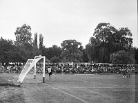 1981-02  1981  Jawor, ul.Parkowa 8, stadion miejski  Mecz Kużnia Jawor, Pafawag Wrocław    Do przerwy bezbramkowy remis, a w drugiej połowie wrocławianie wbijają cztery gole - rezultat końcowy 0:4. Zawodnicy Kużni w jasnych spodenkach.