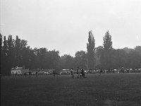 1981-13  1981  Jawor, Parkowa 8, stadion miejski  Mecz  Kuźni Jawor z Zagłebiem Wałbrzych    Pucharowy( Puchar Polski) mecz Kuźnia Jawor Zagłębie Wałbrzych. Zawodnicy Kuźni w ciemnych spodenkach