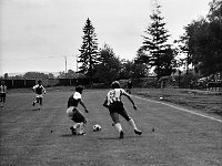 1986-87 13  1986/1987  Jawor, ul. Parkowa 8, stadion miejski  Mecz  Kuźni Jawor w III lidze      Zawodnicy Kuźni Jawor w jasnych spodenkach.
