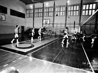 1999-10  1999 r.  Jawor, Plac Bankowy 1. Szkoła Podstawowa nr 2, sala gimnastyczna  II tuniej finałowy o mistrzostwo makroregionu juniorek starszych