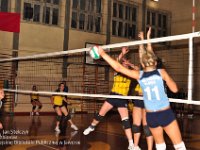 2009-24  2009  Jawor Plac bankowy 1. Szkoła Podsatwowa Nr 2, sala gimnastyczna  Klub Sportowy Olimpia    Mecz Klub Sportowy Olimpia Politechnika Śląska