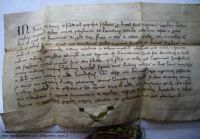 1312 r, Dokument księcia Henryka Jaworskiego nadający ziemię rycerzowi Friczko koło zamku w Jeleniej Górze 1312 r, Dokument księcia Henryka Jaworskiego nadający ziemię rycerzowi Friczko koło zamku w Jeleniej Górze