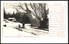 Gruss von der Buche b. Schmiedeberg i. R. [Dokument ikonograficzny]