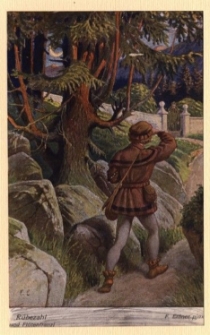 Rübezahl und Flötenfranzl [Dokument ikonograficzny]