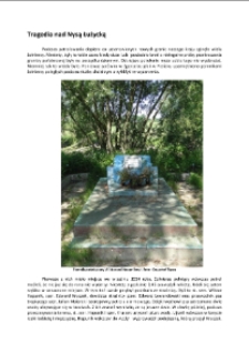 Tragedia nad Nysą Łużycką [Dokument elektroniczny]