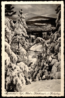 Agnetendorf i. Rgb., Blick u. Hübelhäusel n. d. Hochgebirge [Dokument ikonograficzny]