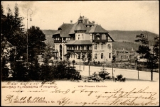 Bad Flinsberg im Isergebirge. Villa Prinzess Charlotte. [Dokument ikonograficzny]
