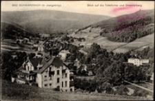 Bad Schwarzbach i. Isergebirge. Blick auf die Tafelfichte und Dresslerberg [Dokument ikonograficzny]