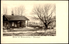 Buche bei Schmiedeberg i. Riesengeb. [Dokument ikonograficzny]