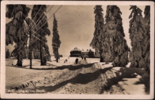 Neue schles. Baude. [Dokument ikonograficzny]