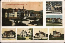 Genesungsheim Hohenwiese i. R. [Dokument ikonograficzny]