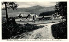 Karpacz - Orlinek na tle Karkonoszy [Dokument ikonograficzny]