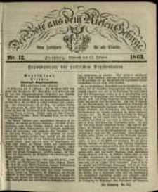Der Bote aus dem Riesen-Gebirge : eine Zeitschrift f&uuml;r alle St&auml;nde, R. 51, 1863, nr 12