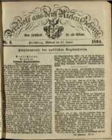 Der Bote aus dem Riesen-Gebirge : eine Zeitschrift für alle Stände, R. 52, 1864, nr 6