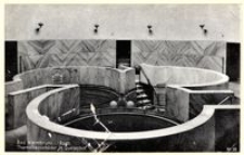 Bad Warmbrunn i./Rsgb. Thermalbassinbäder im Quellenhof [Dokument ikonograficzny]