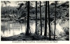 Krummhübel im Riesengebirge, Lomnitztalsperre und Baude [Dokument ikonograficzny]