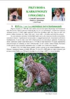 Ryś największy kot w Karkonoszach [Dokument elektroniczny]