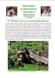 Muflon - baran skalny Karkonoszy [Dokument elektroniczny]