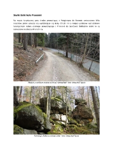 Skałki Dziki koło Przesieki [Dokument elektroniczny]