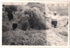 Akcja żniwa w 1968 r., zdjęcie 2