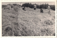 Akcja żniwa w 1968 r., zdjęcie 5