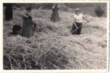 Akcja żniwa w 1968 r., zdjęcie 7